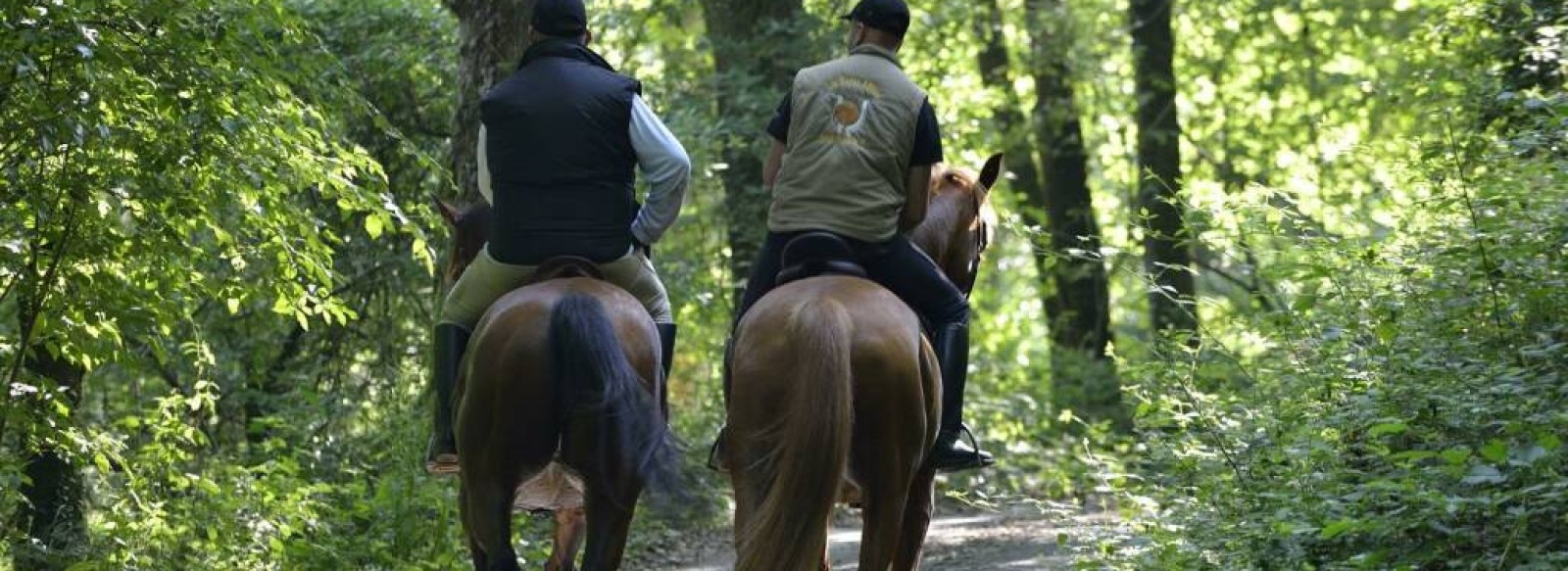 CIRCUIT EQUESTRE DU NOYAU