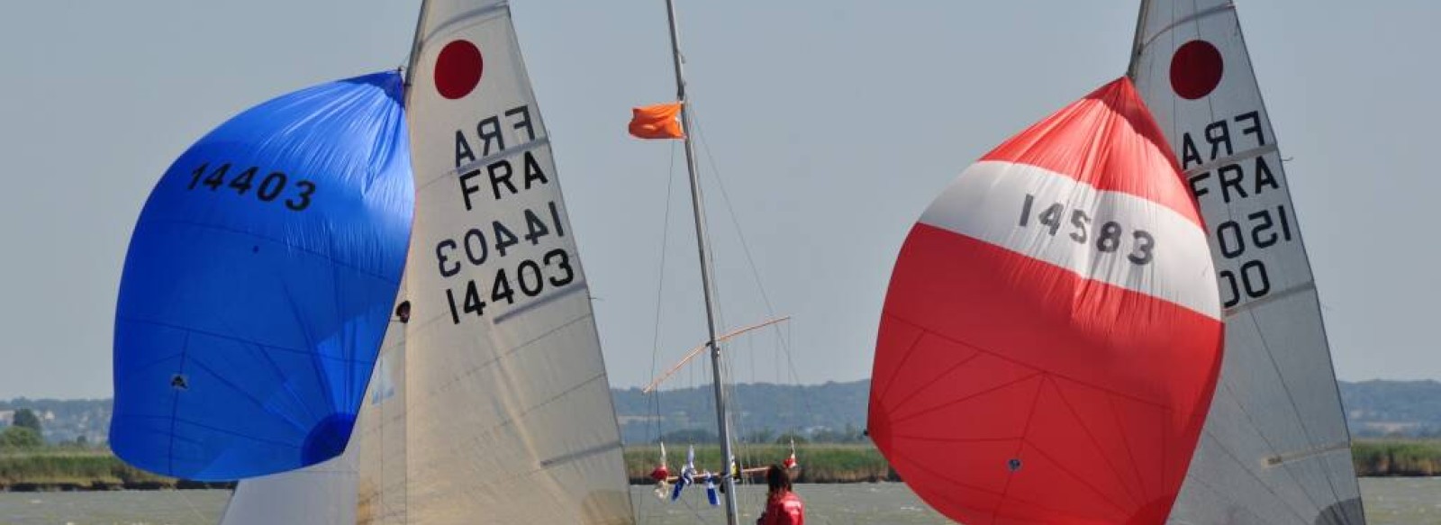 CLUB NAUTIQUE DE L'ESTUAIRE