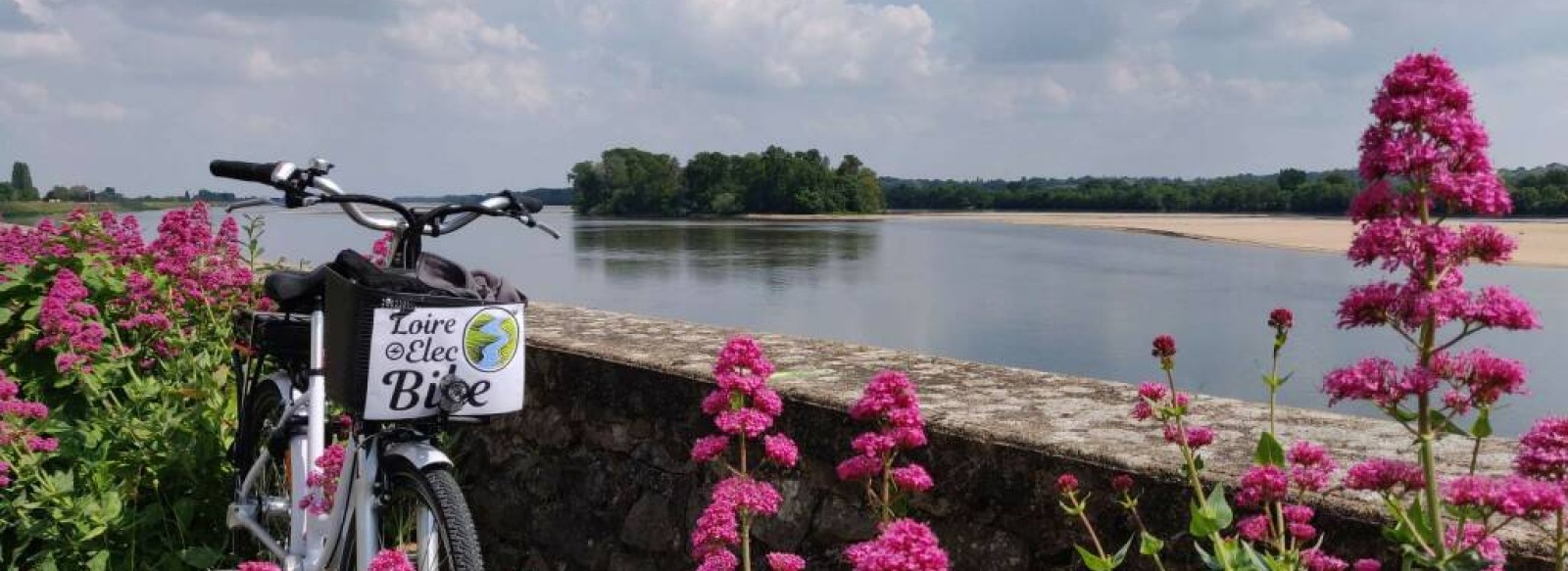 Loire Elec Bike