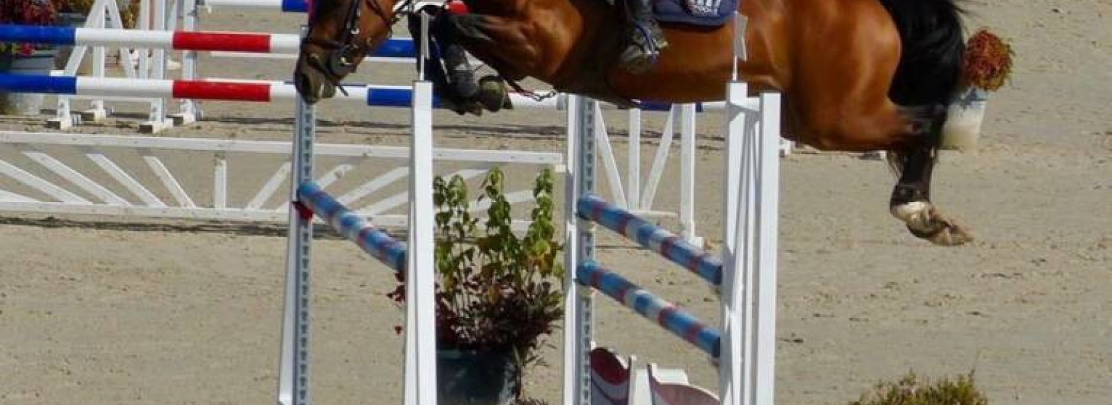 Centre equestre Les Ecuries de Manaurer