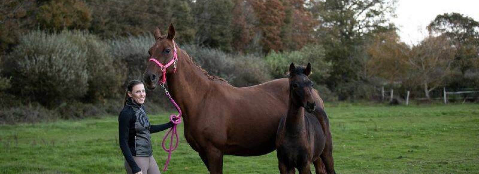 Centre equestre Au Galop Ecurie Emilie Guillon