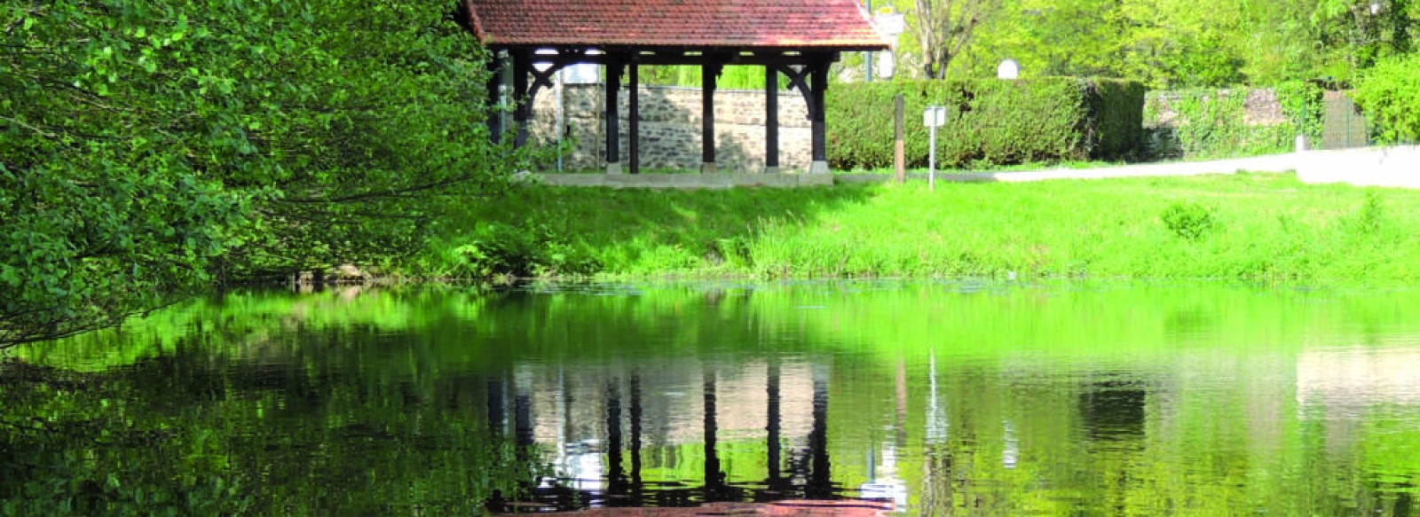 ETANG DU CHOIZEAU