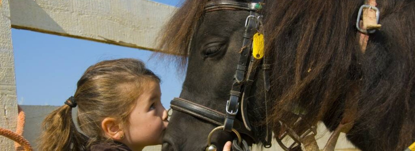 Centre equestre de Freigne