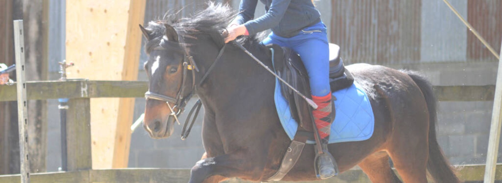 Centre equestre de la Montglonniere