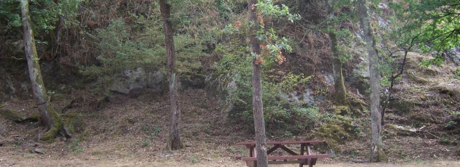 AIRE DE PIQUE NIQUE DU ROCHER D'ALMONT - JUIGNE-SUR-LOIRE