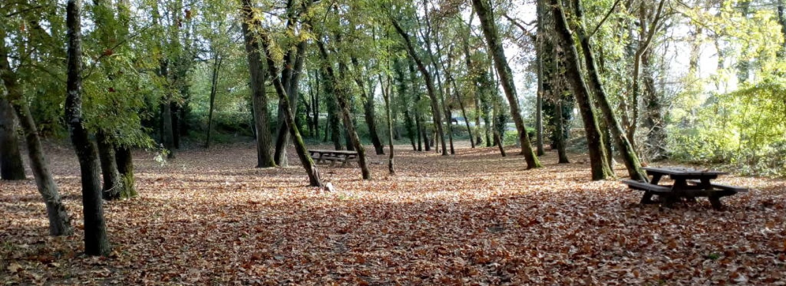 AIRE DE PIQUE NIQUE DU BUDA