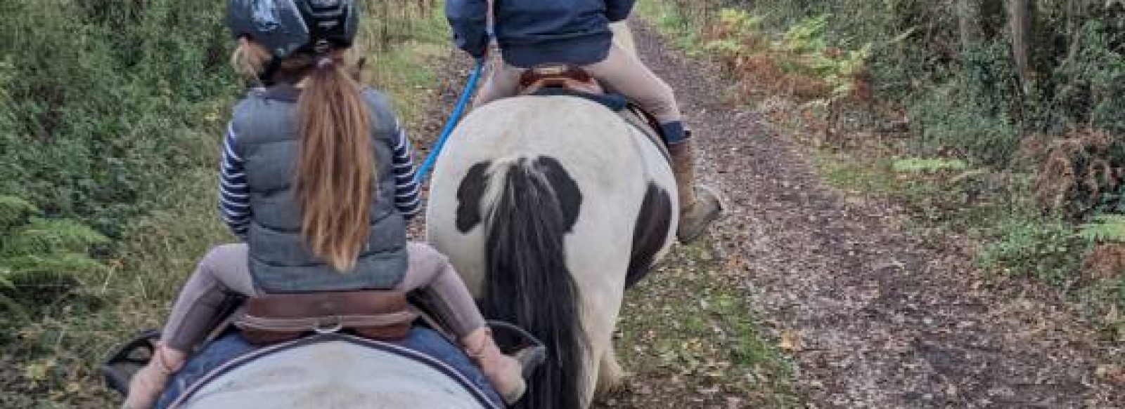 Centre equestre O'reil Equitation