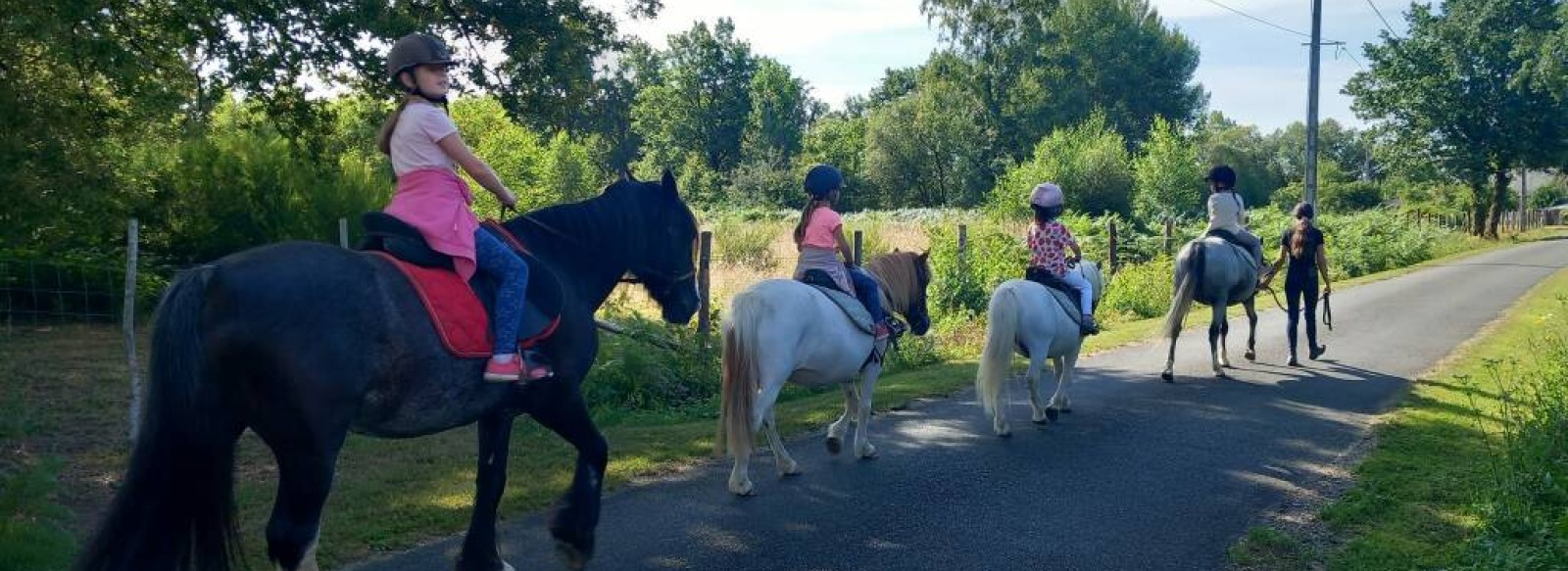 Balades a cheval avec les Chevaux de la Rosiere