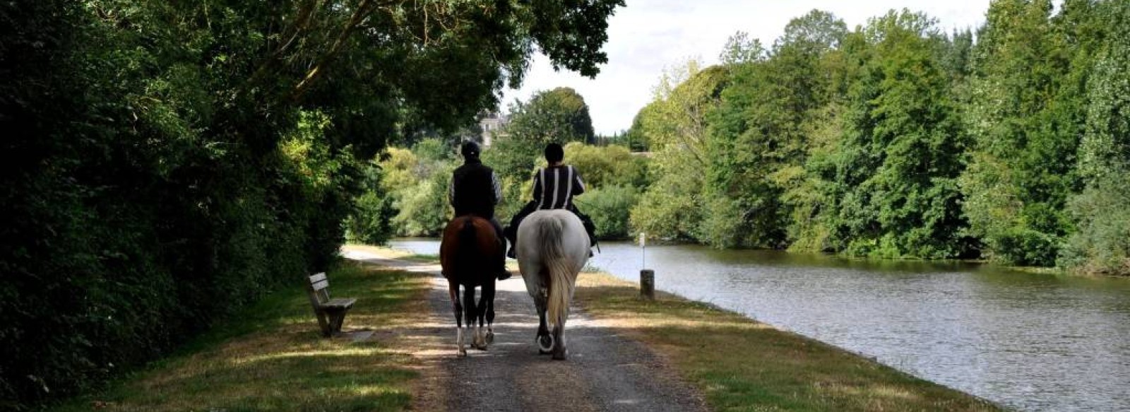 Parc equestre de la grande Lande