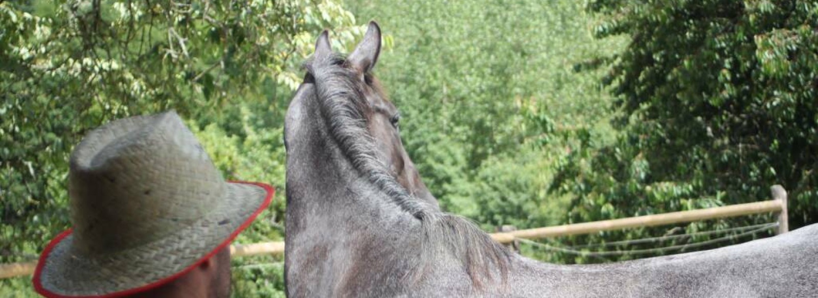 CENTRE EQUESTRE DU HAUT FEVRE