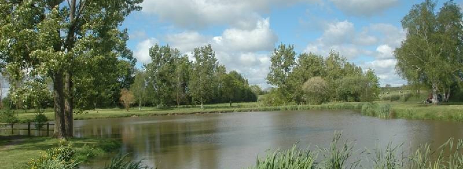 PECHE DANS LE PLAN D'EAU