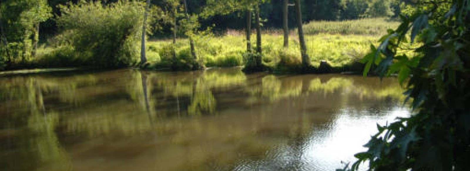 PARCOURS DE PECHE LA VIE, LA GARNERIE