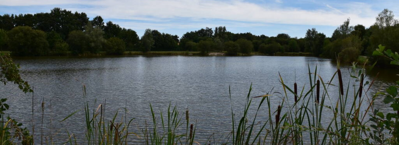 PARC DE L'ETANG DE LA SAUVAGERE