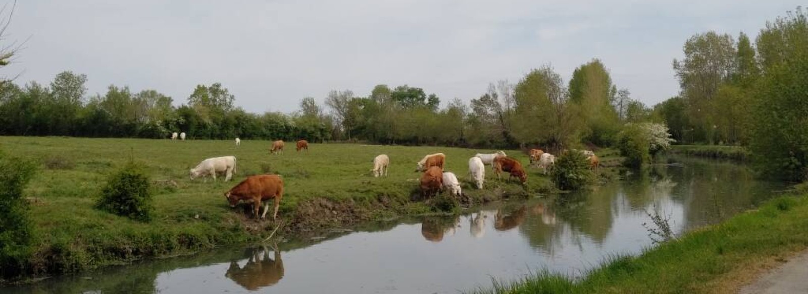 AIRE DE PIQUE-NIQUE AU BORD DE LA SEVRE