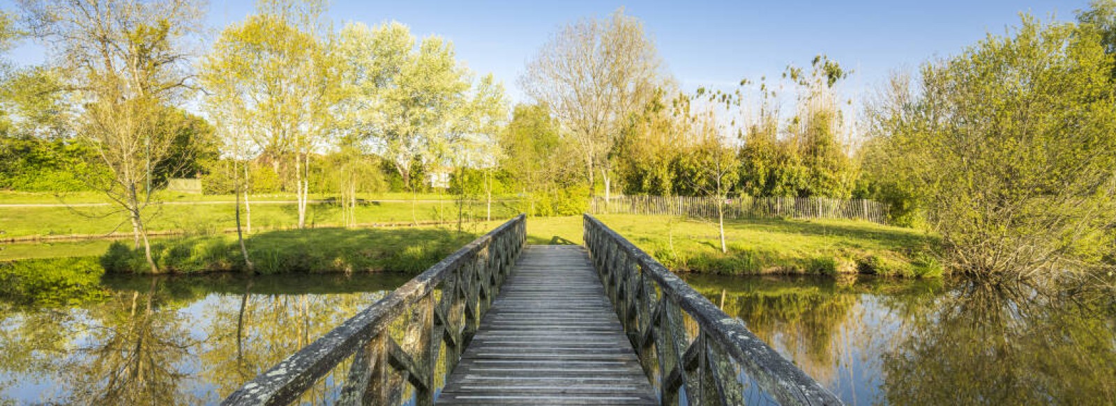 PARC DES ABRAS