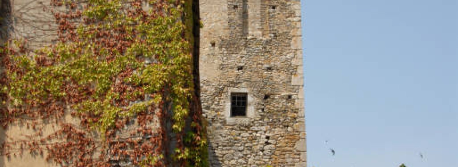 eglise Saint Hilaire