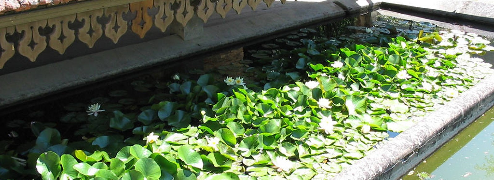 LE LAVOIR DES ESSARTS