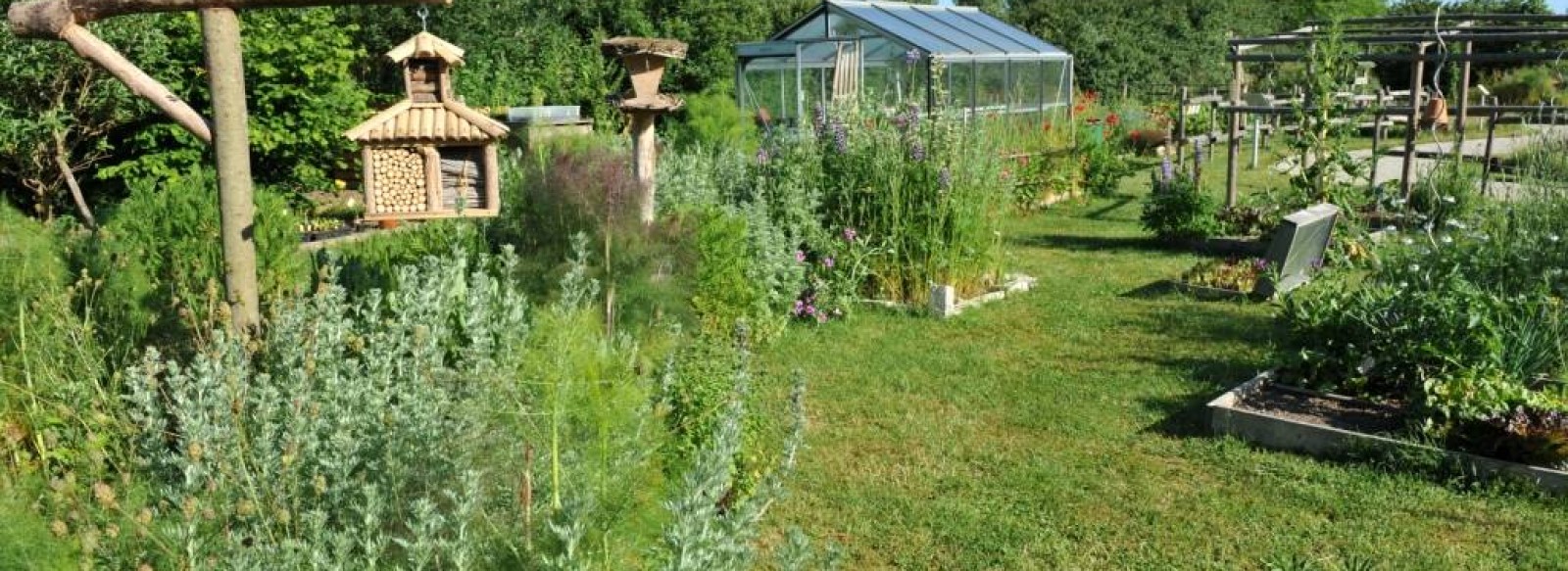 JARDIN AU NATUREL DE LA MAISON DES LIBELLULES