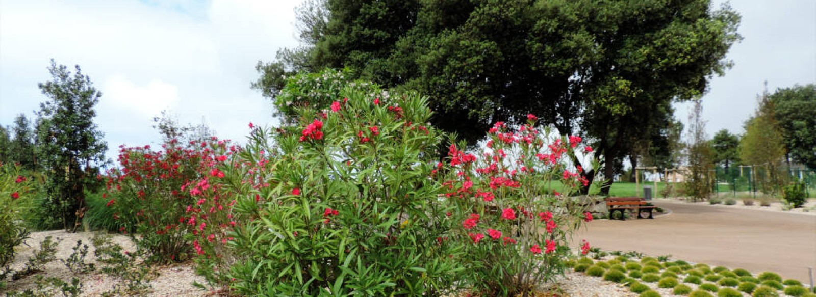 Parc des Roses