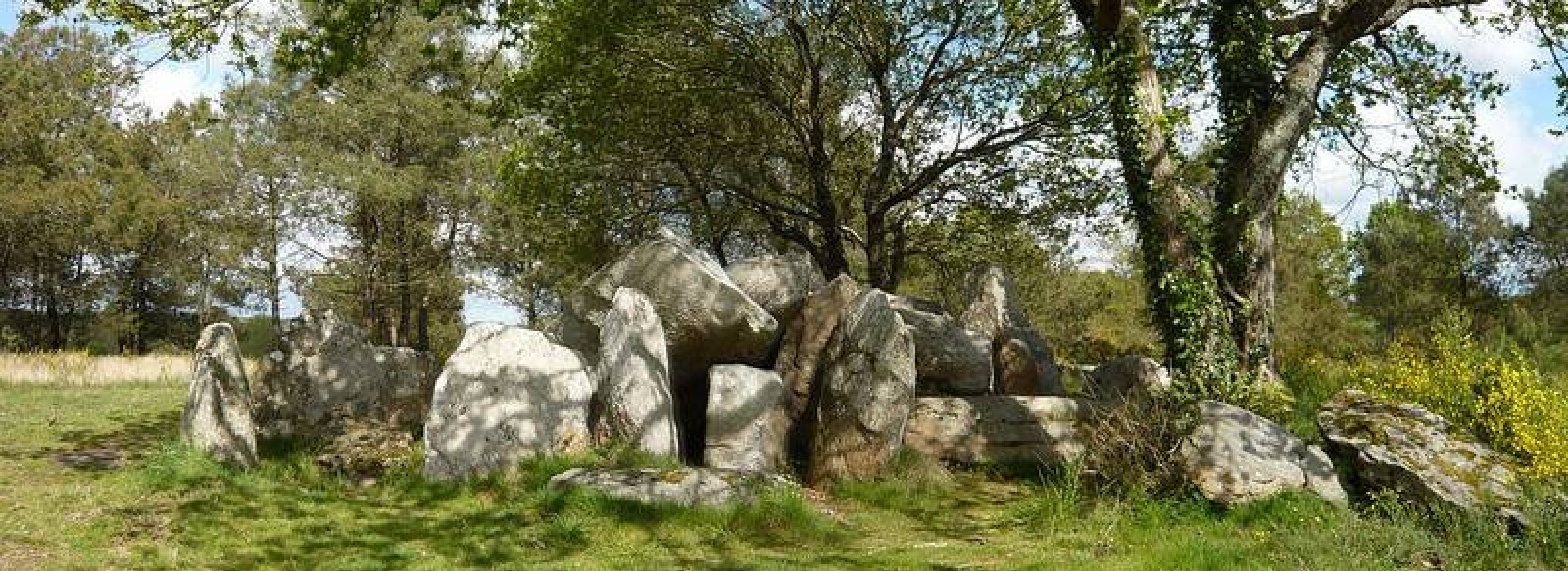 Dolmen du Riholo