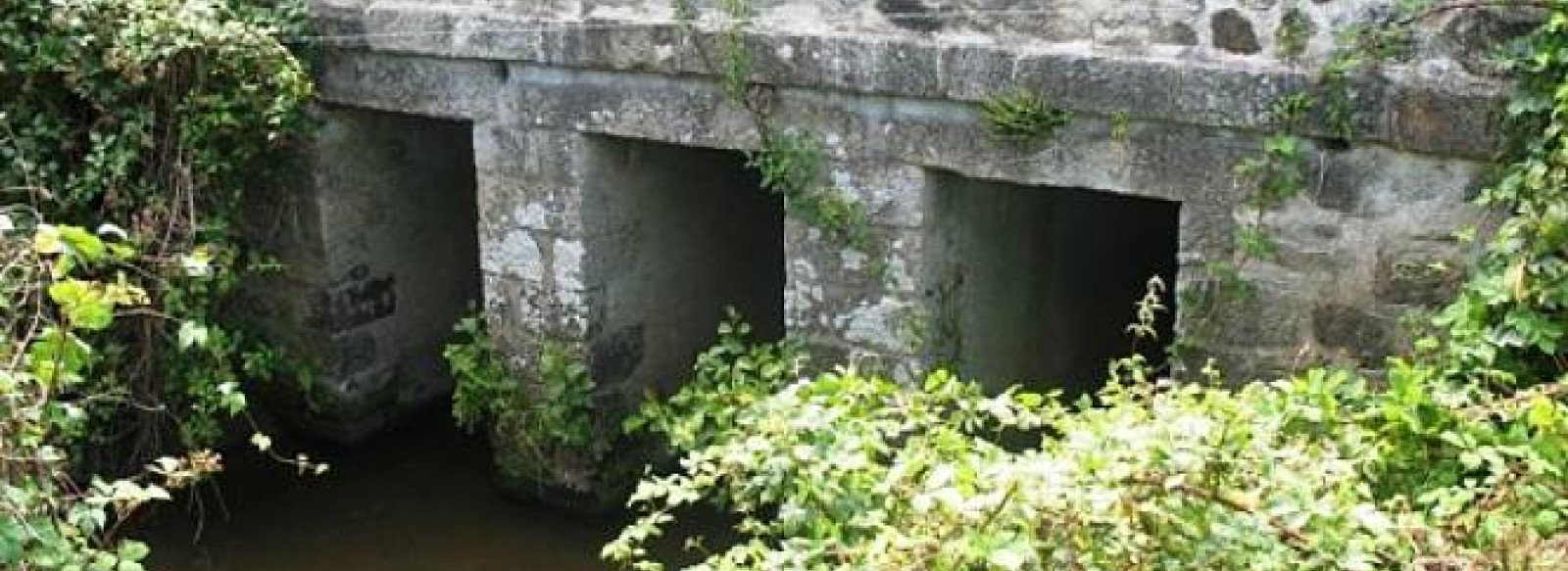 PONT DU MOULIN DE LA RIVIERE