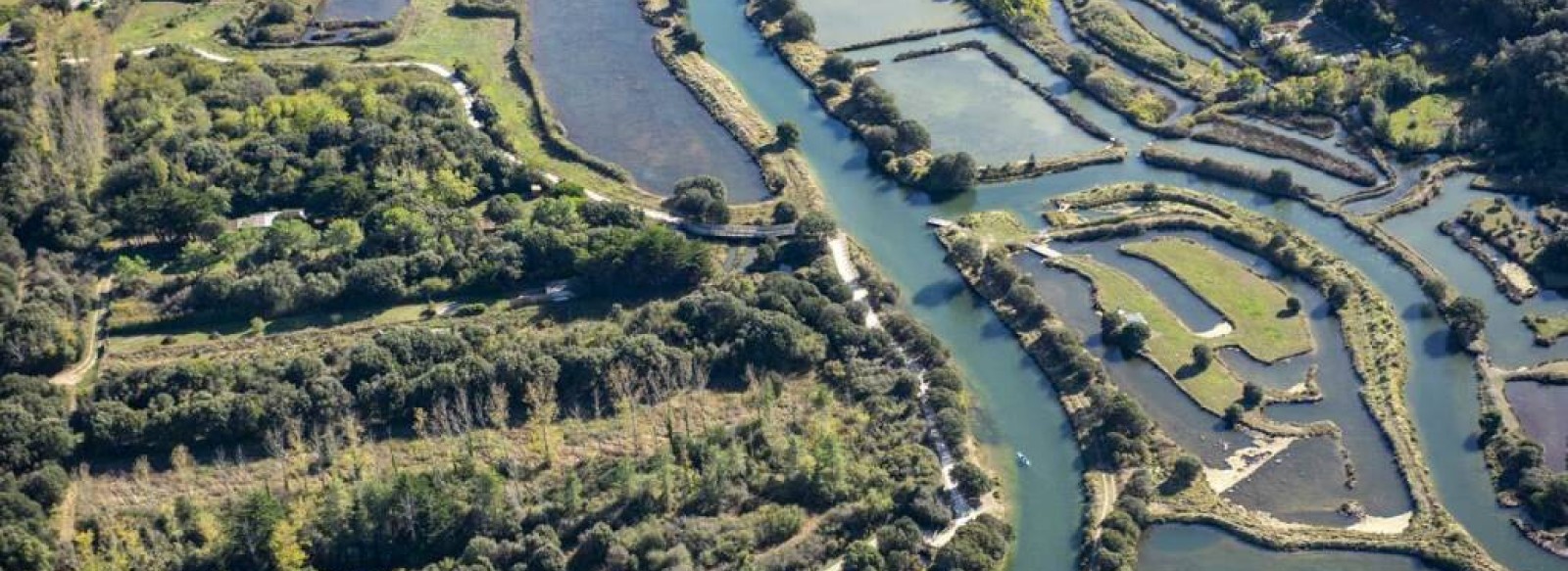 Le marais ornithologique