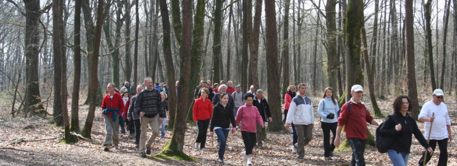 Bois de l'Huisserie