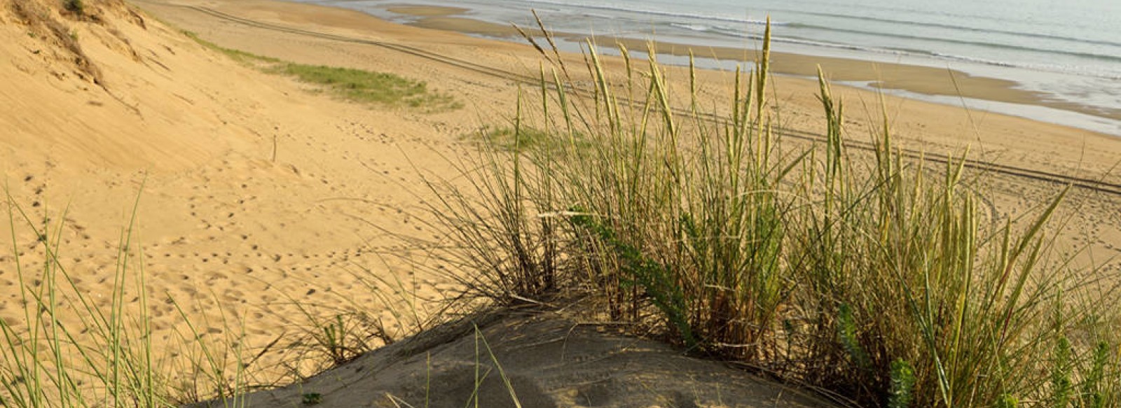 Plage de la Pointe