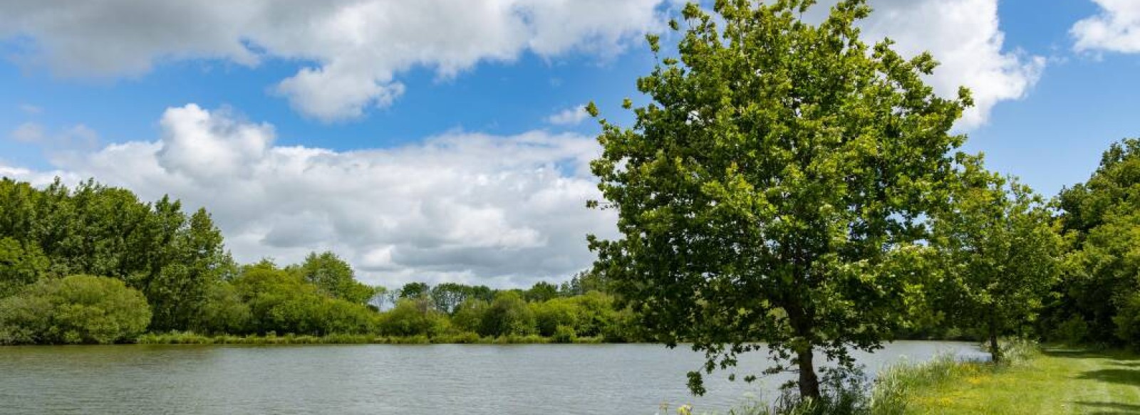 ETANG DES BROSSES