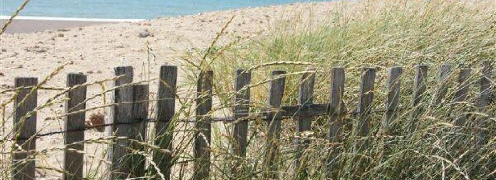 PLAGE DE LA RENAUDIERE