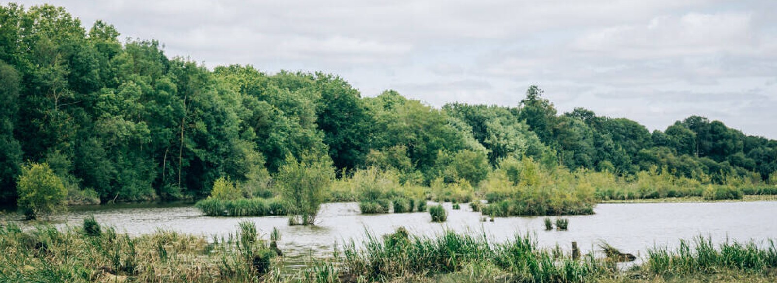 Marais de Montreuil-Juigne