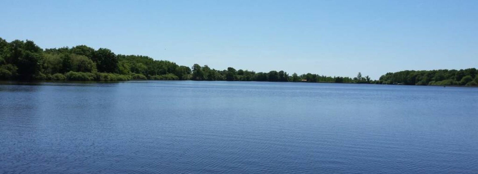 Etang de Peronne